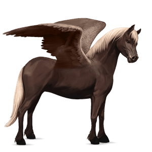 pegasus pony highland pony dun