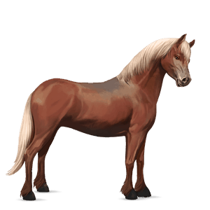 pony haflinger flaxen chestnut 