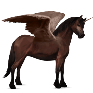 winged unicorn pony  dark bay