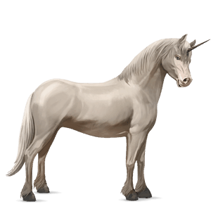 unicorn pony australian pony cremello