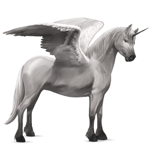 winged unicorn pony  australian pony fleabitten gray