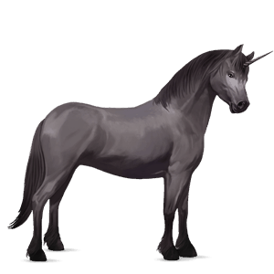 unicorn pony australian pony light gray