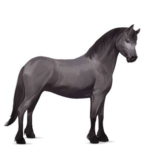 pony mouse gray