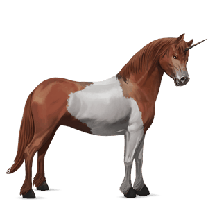 unicorn pony kerry bog chestnut tobiano