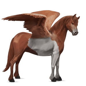 pegasus pony quarter pony chestnut tobiano