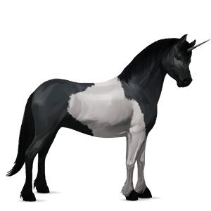 unicorn pony black tobiano