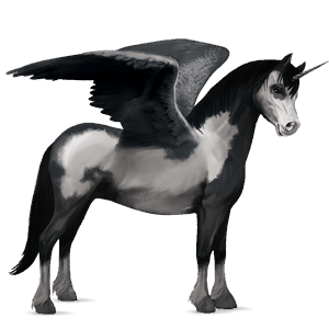 winged unicorn pony  australian pony light gray