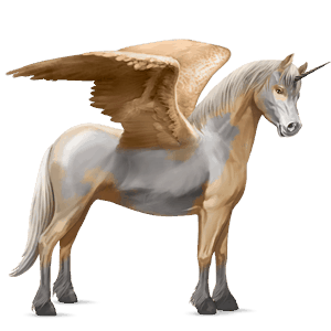 winged unicorn pony  newfoundland pony dapple gray