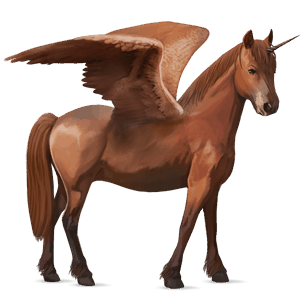 winged unicorn pony  belgian riding pony chestnut