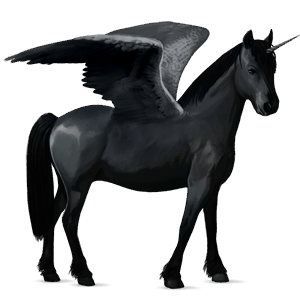 winged unicorn pony  newfoundland pony black