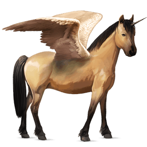 winged unicorn pony  australian pony dun