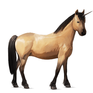 unicorn pony welsh dun