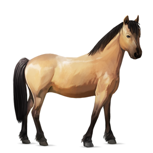 pony quarter pony strawberry roan