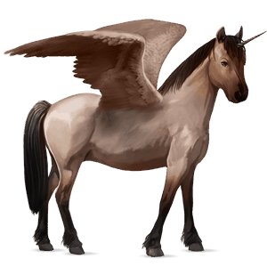 winged unicorn pony  newfoundland pony roan