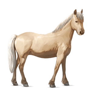 pony haflinger flaxen chestnut 