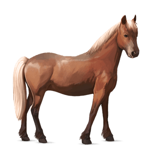 pony haflinger flaxen chestnut 