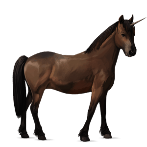 unicorn pony chincoteague pony dark bay