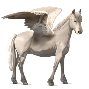 pegasus pony belgian riding pony cremello