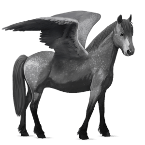 pegasus pony welsh light gray