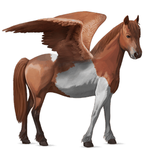 pegasus pony chincoteague pony chestnut tobiano