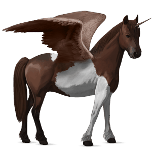 winged unicorn pony  chincoteague pony liver chestnut tobiano