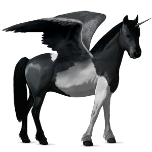 winged unicorn pony  kerry bog black tobiano