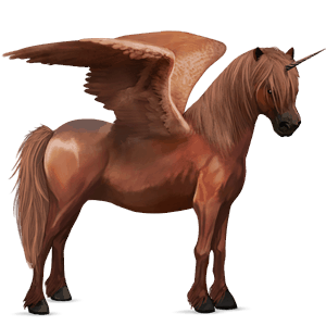 winged unicorn pony  newfoundland pony chestnut