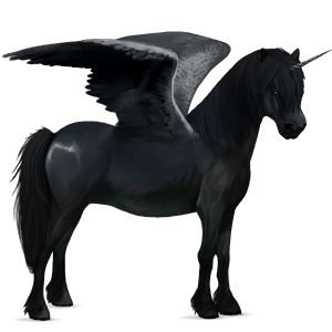 winged unicorn pony  black