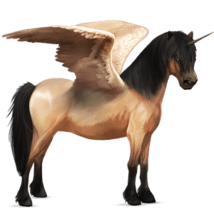 winged unicorn pony  highland pony dun