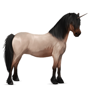 unicorn pony welsh roan