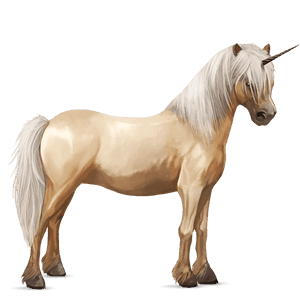 unicorn pony newfoundland pony chestnut