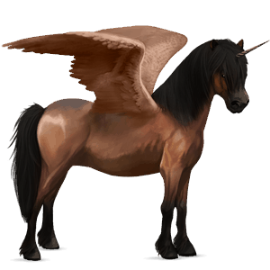 winged unicorn pony  kerry bog bay