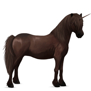 unicorn pony australian pony liver chestnut