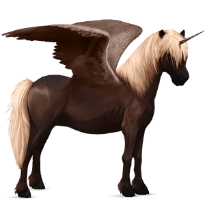 winged unicorn pony  newfoundland pony dark bay
