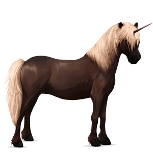 unicorn pony quarter pony chestnut