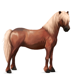 pony shetland flaxen chestnut 