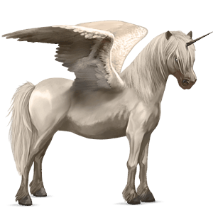 winged riding unicorn brumby cremello