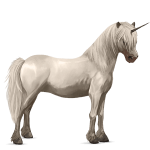 unicorn pony cremello