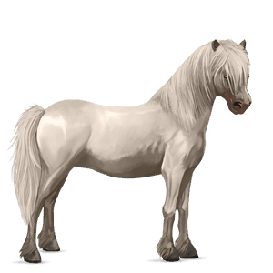 pony kerry bog light gray