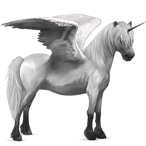 winged unicorn pony  light gray