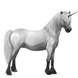 unicorn pony light gray