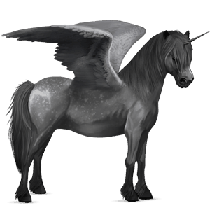 winged unicorn pony  australian pony dapple gray