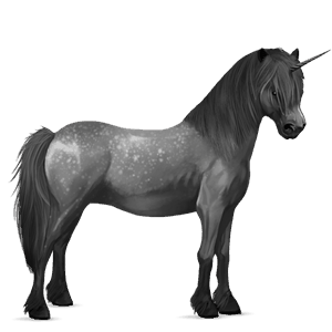 unicorn pony highland pony dapple gray