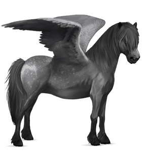 pegasus pony dapple gray