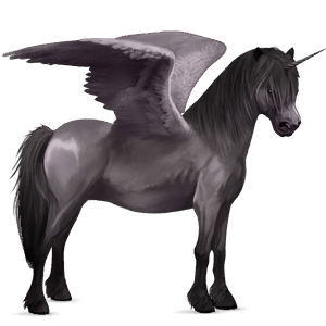 winged unicorn pony  belgian riding pony fleabitten gray