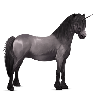 unicorn pony dapple gray