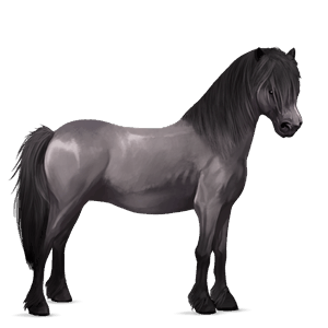 pony kerry bog mouse gray