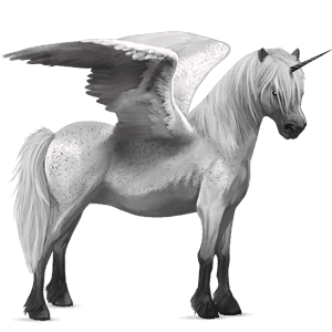 winged riding unicorn brumby cremello