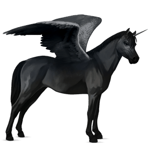 winged unicorn pony  welsh black