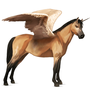 winged unicorn pony  belgian riding pony dun